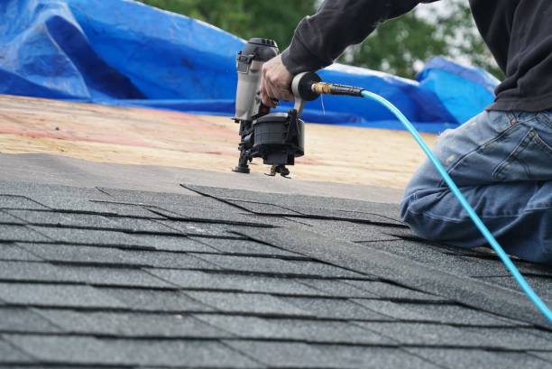 Best Storm Damage Roof Repair  in Loudon, TN