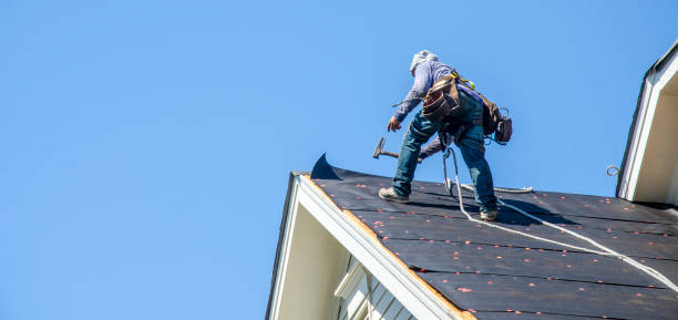 Best Gutter Installation and Roofing  in Loudon, TN